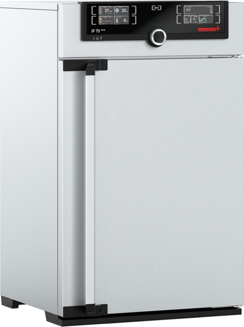 IncubatorIF75plus